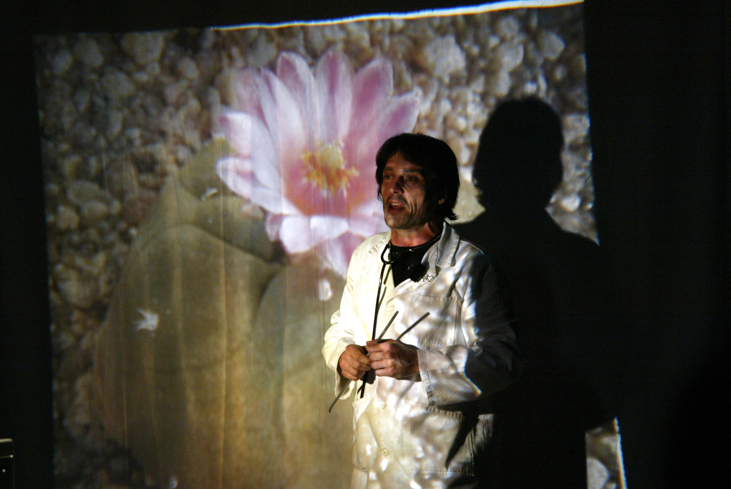 2008 MISÉRABLE MIRACLE_5