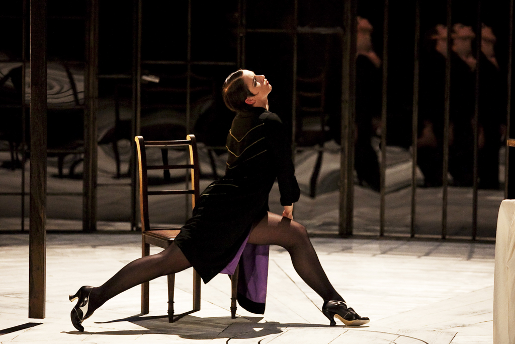 2010 LA CERISAIE_7
