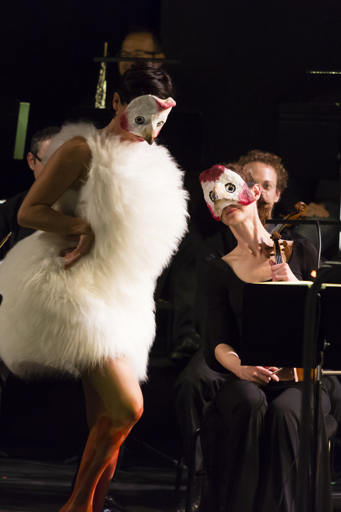 2014 PULCINELLA_6