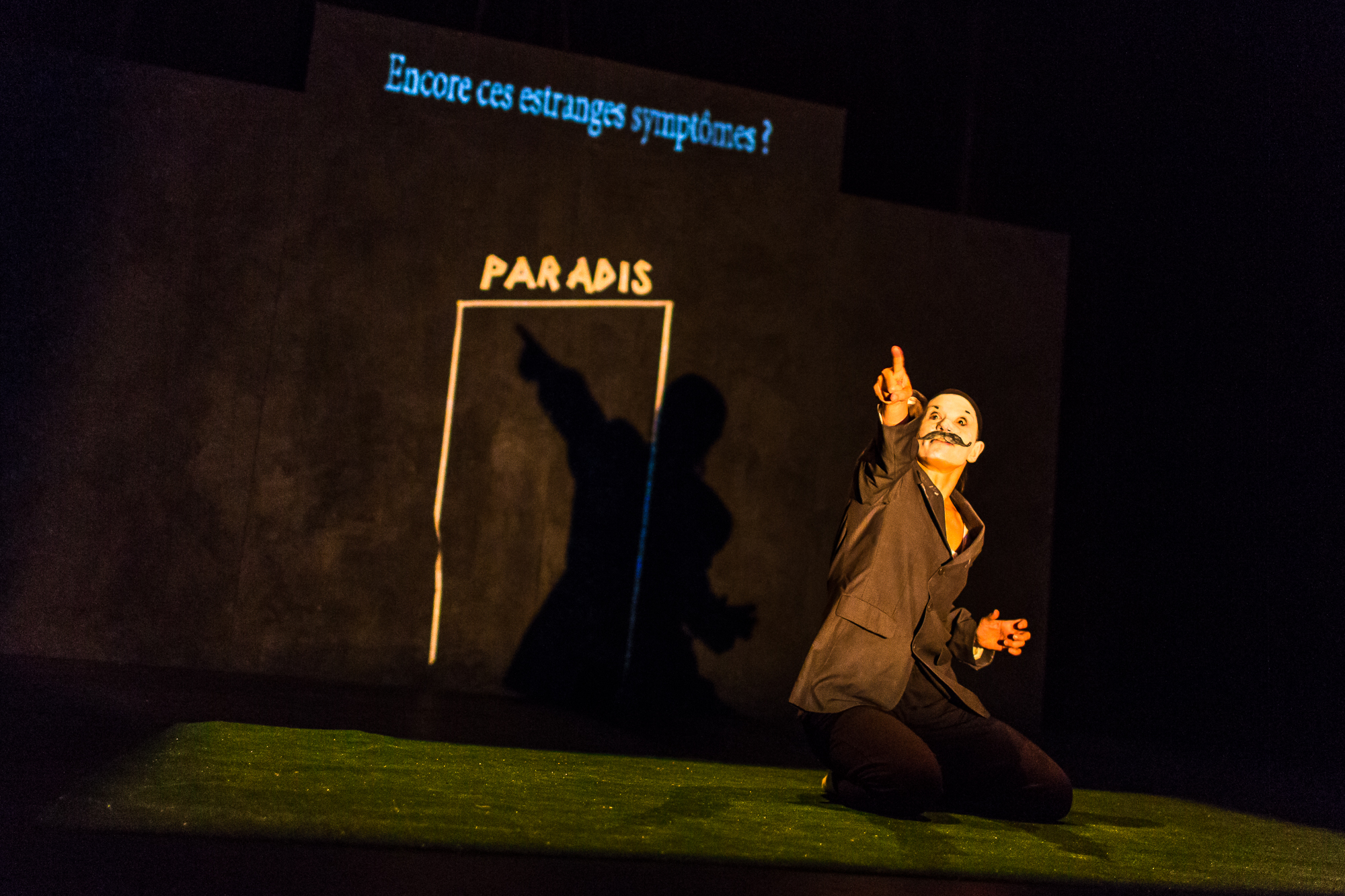 2015 PARADIS_12