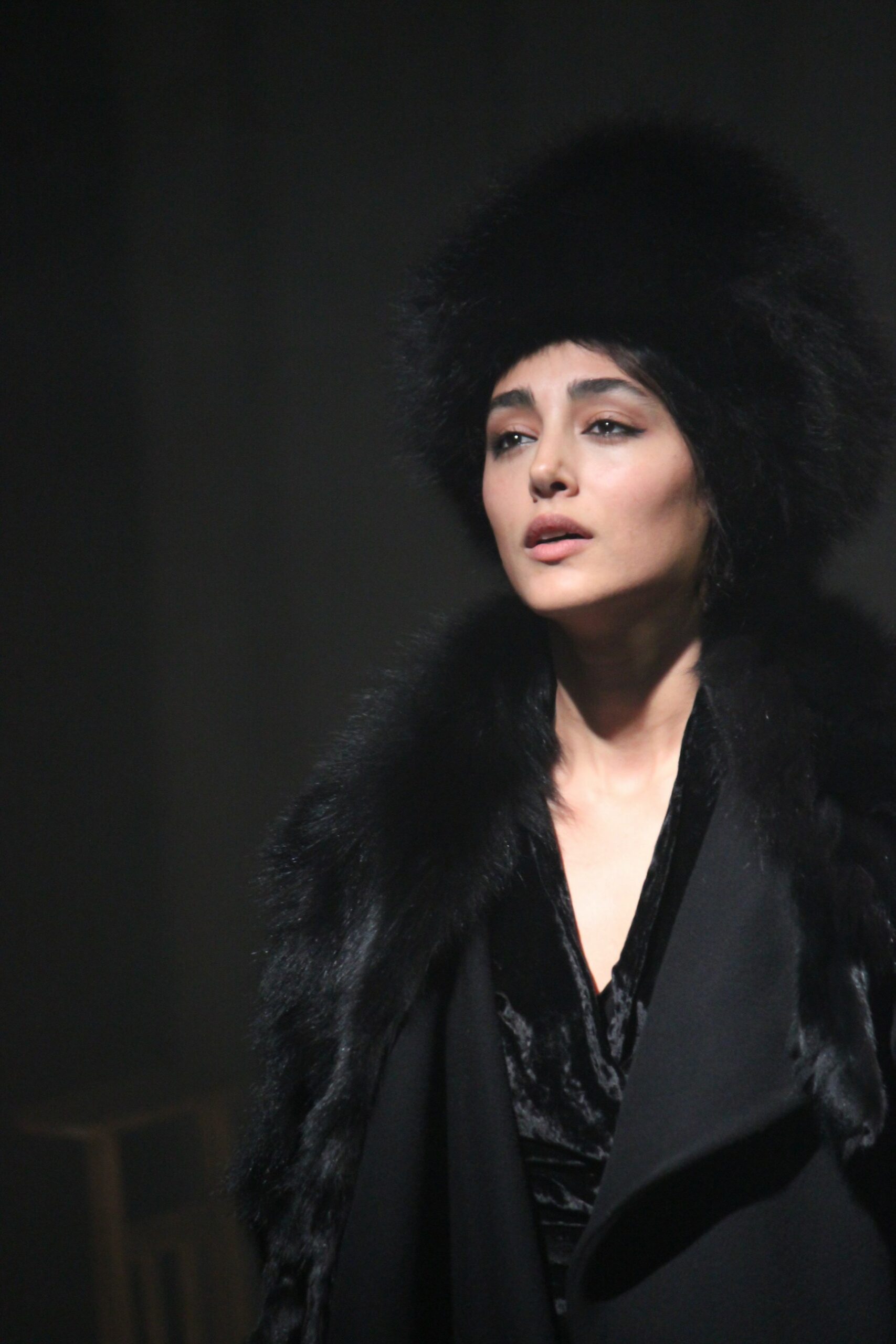 2016 ANNA KARÉNINE_2